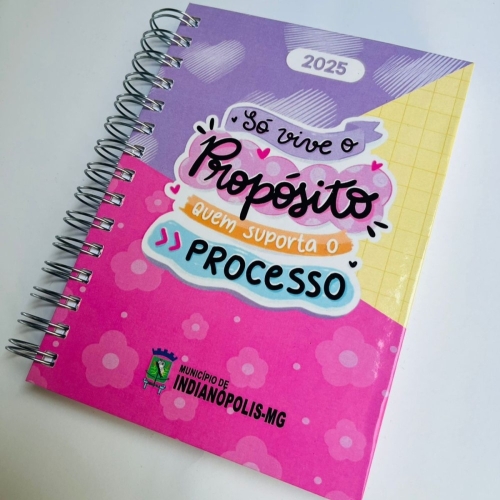 Agenda wire - o em capa cromia -898LG