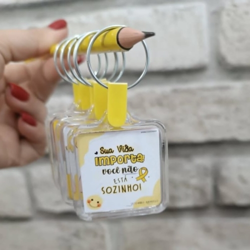 Chaveio Acrilico-356DL